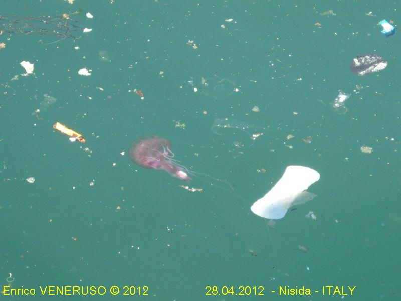 3 - Il mare ferito - The wounded sea.jpg